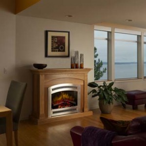 105225_1_2 Fireplace Xtrordinair FPX 564E